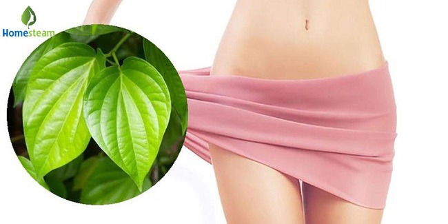 xông lá trầu không có tác dụng gì