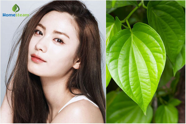 xông hơi mặt bằng lá trầu không