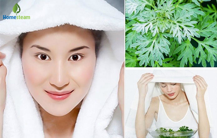 xông mặt trị mụn bằng ngải cứu